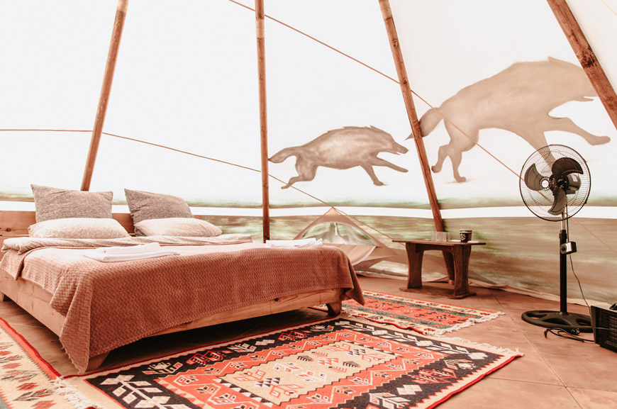 Отдых в глэмпинге под Белогорском